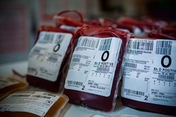 Hematology And Blood Transfusion Unit | Department Of Human Pathology