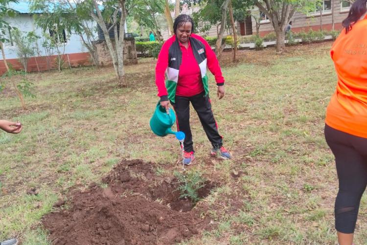 Tree planting by Mrs Joyce.